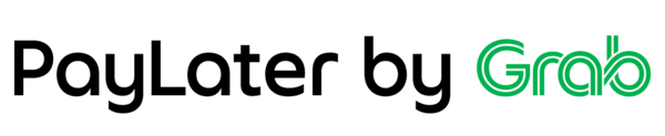 GrabPayLater